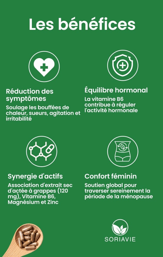 actée à grappes noires bienfaits actée à grappes noires bienfaits
