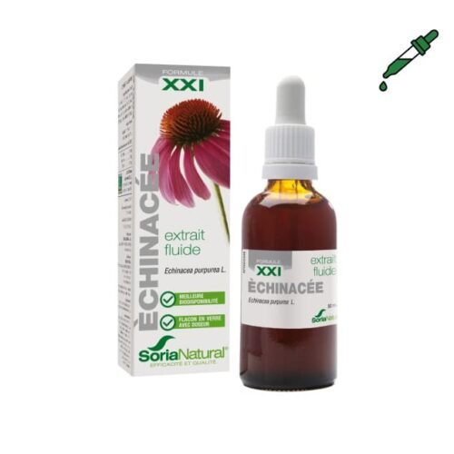 Extrait d'Echinacée