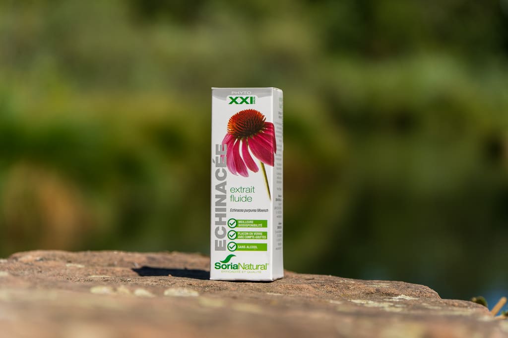 echinacee-extrait-fluide-photo-2
