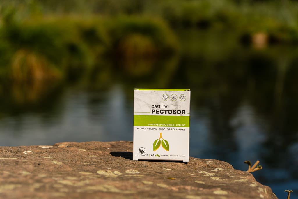 pectosor-pastilles-photo-2