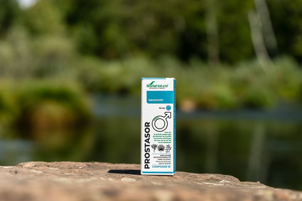 prostasor-photo-1