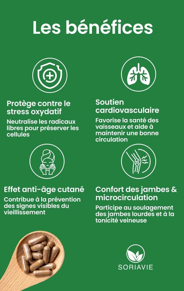 resverasor bienfaits resverasor bienfaits