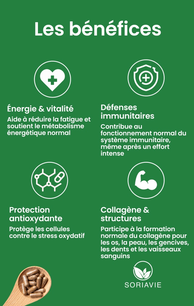 vitamine c bienfaits vitamine c bienfaits